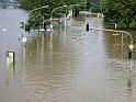 Hochwasser (239)